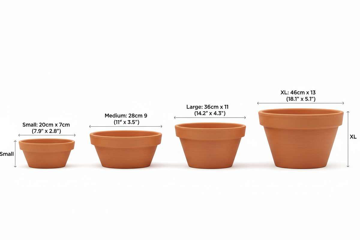 Shallow terracotta pot size guide - Small 20cm x 7cm, Medium 28cm x 9cm, Large 36cm x 11cm, XL 46cm x 13cm