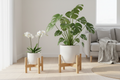 Two Bamboo Plant Stands - Small and Large Plants